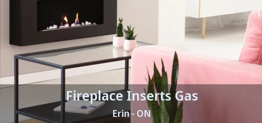 Fireplace Inserts Gas Erin - ON