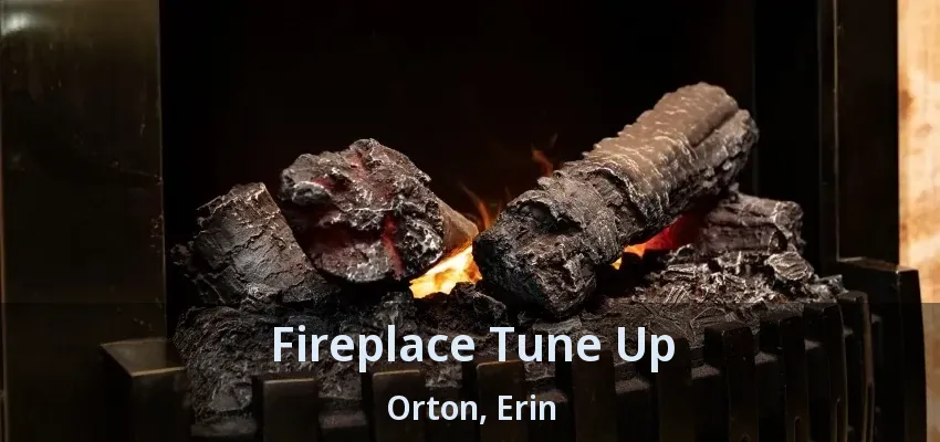 Fireplace Tune Up Orton, Erin - ON