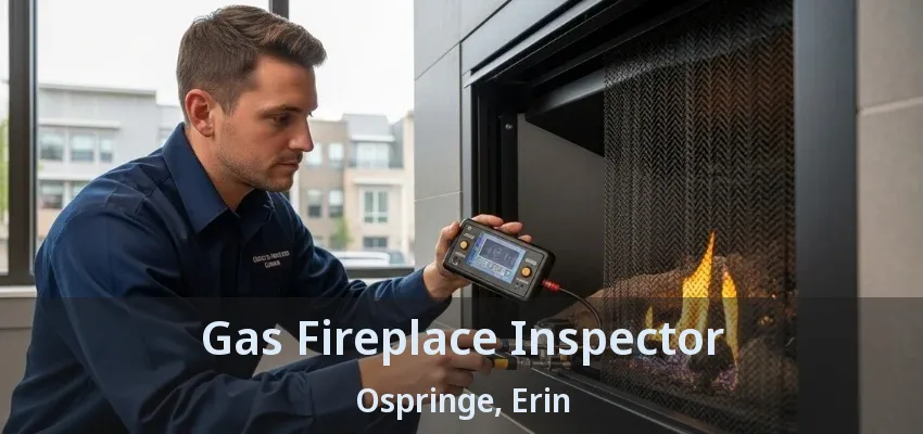 Gas Fireplace Inspector Ospringe, Erin - ON