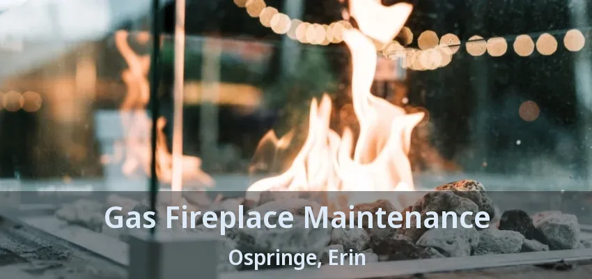 Gas Fireplace Maintenance Ospringe, Erin - ON