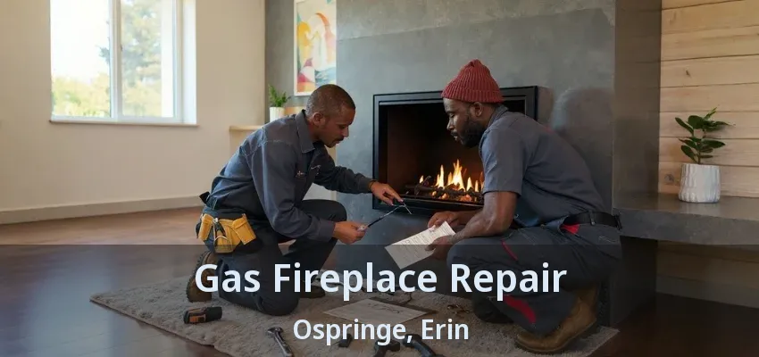 Gas Fireplace Repair Ospringe, Erin - ON
