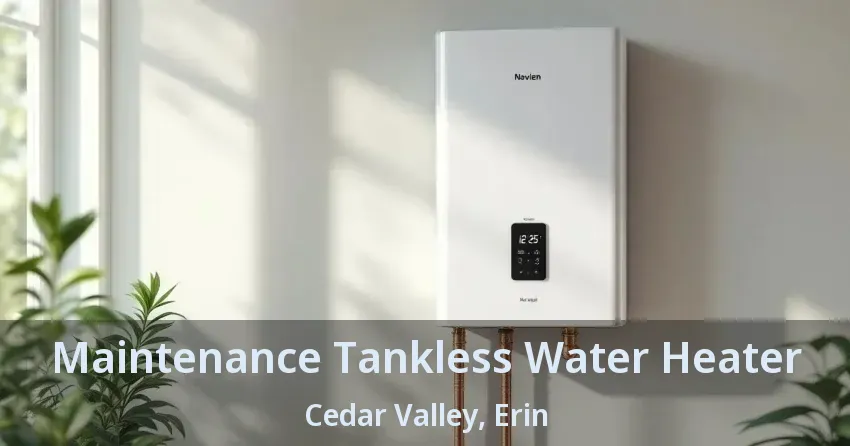 Maintenance Tankless Water Heater Cedar Valley, Erin - ON