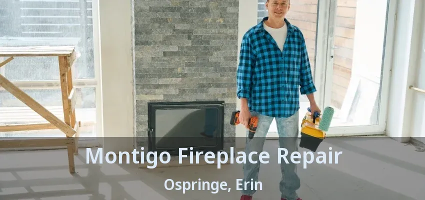 Montigo Fireplace Repair Ospringe, Erin - ON
