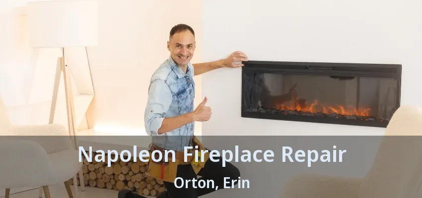 Napoleon Fireplace Repair Orton, Erin - ON Napoleon Fireplace Repair Orton, Erin - ON