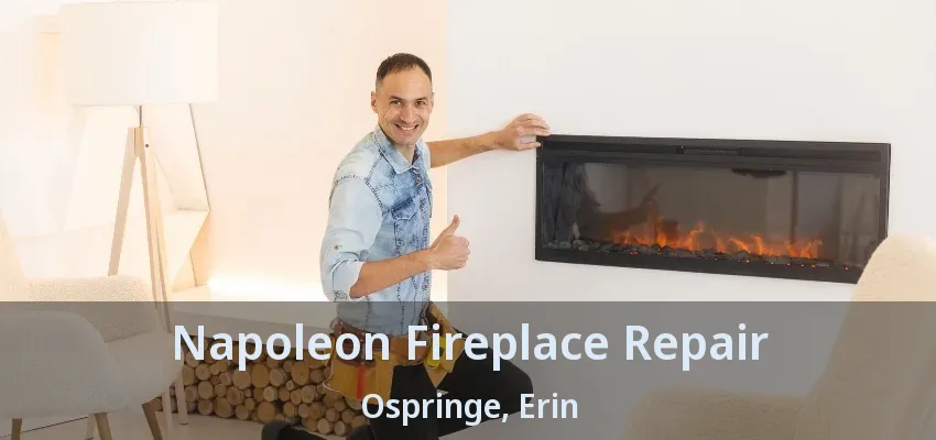 Napoleon Fireplace Repair Ospringe, Erin - ON Napoleon Fireplace Repair Ospringe, Erin - ON
