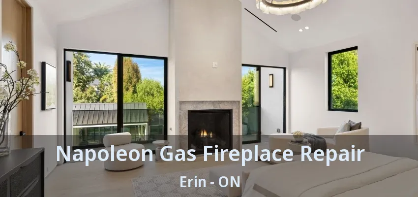 Napoleon Gas Fireplace Repair Erin - ON