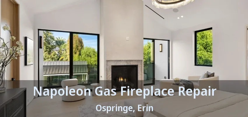 Napoleon Gas Fireplace Repair Ospringe, Erin - ON Napoleon Gas Fireplace Repair Ospringe, Erin - ON