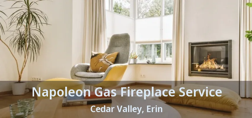 Napoleon Gas Fireplace Service Cedar Valley, Erin - ON