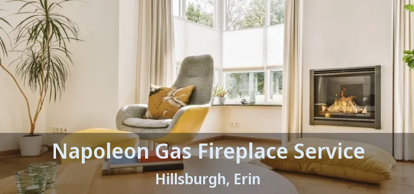 Napoleon Gas Fireplace Service Hillsburgh, Erin - ON