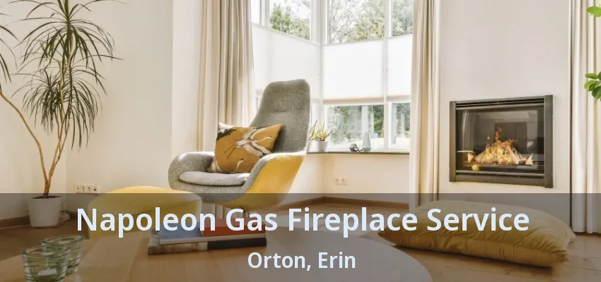 Napoleon Gas Fireplace Service Orton, Erin - ON