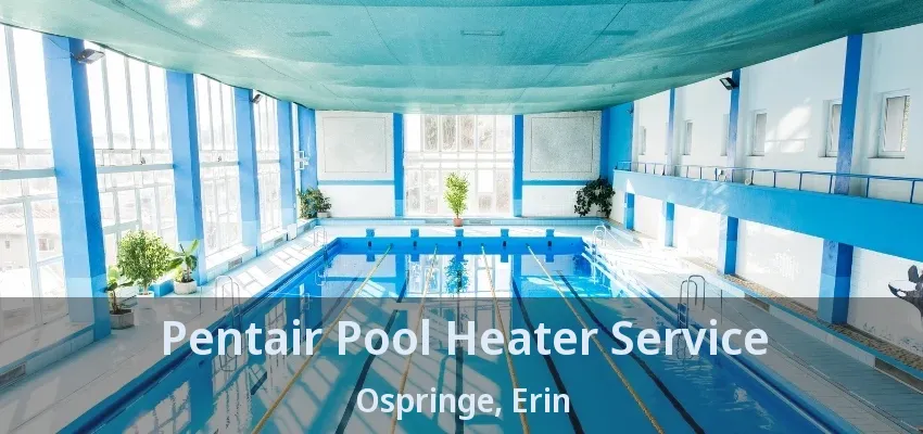 Pentair Pool Heater Service Ospringe, Erin - ON