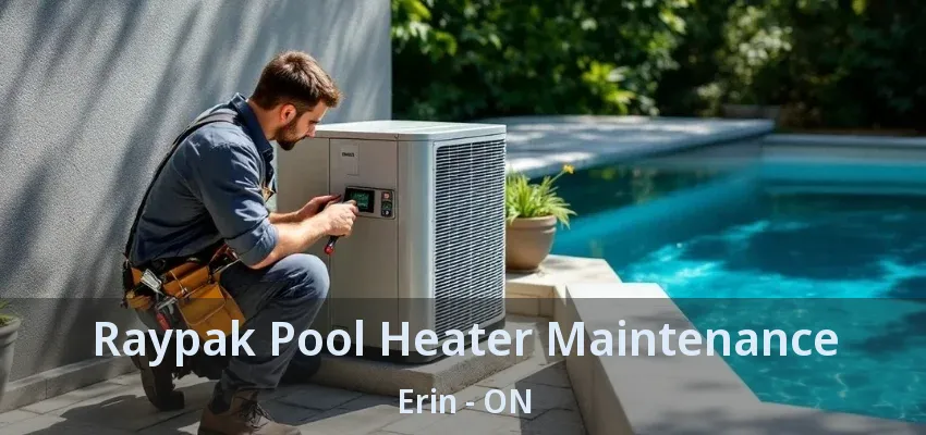 Raypak Pool Heater Maintenance Erin - ON
