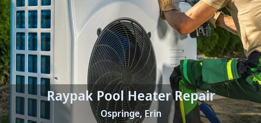 Raypak Pool Heater Repair Ospringe, Erin - ON