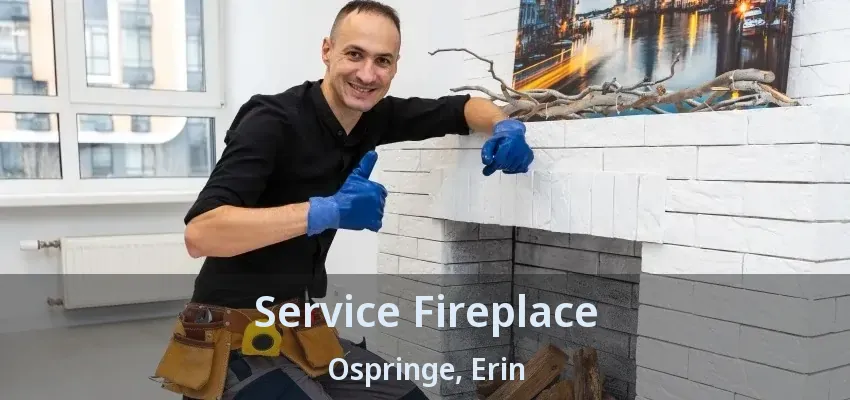 Service Fireplace Ospringe, Erin - ON