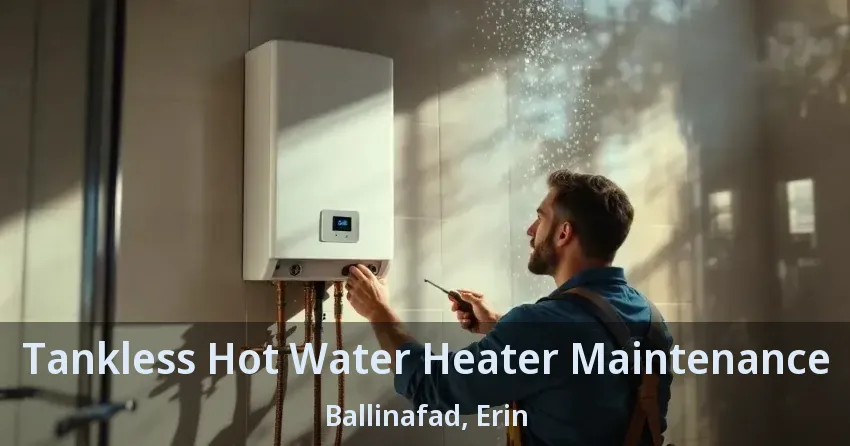 Tankless Hot Water Heater Maintenance Ballinafad, Erin - ON