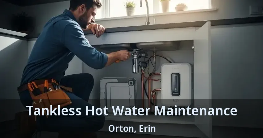 Tankless Hot Water Maintenance Orton, Erin - ON Tankless Hot Water Maintenance Orton, Erin - ON