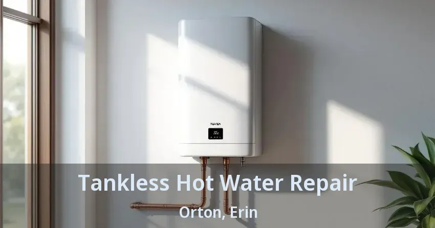 Tankless Hot Water Repair Orton, Erin - ON