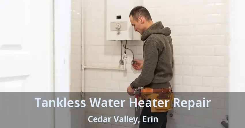 Tankless Water Heater Repair Cedar Valley, Erin - ON