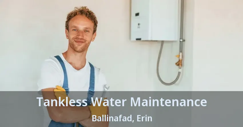 Tankless Water Maintenance Ballinafad, Erin - ON