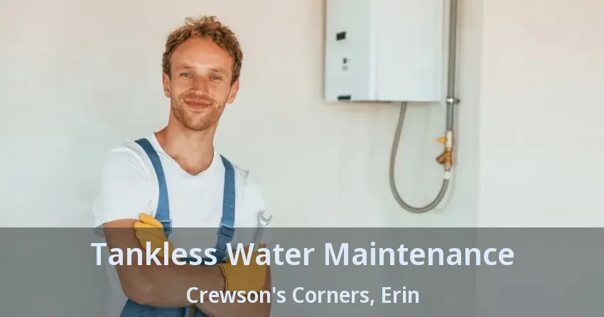 Tankless Water Maintenance Crewson's Corners, Erin - ON