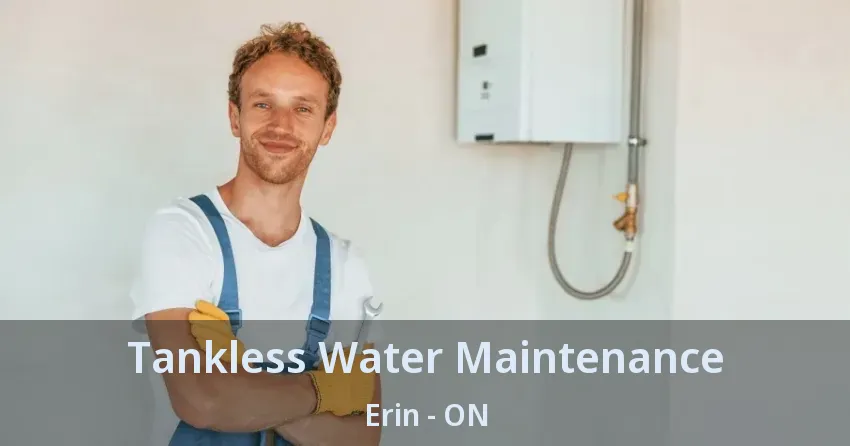 Tankless Water Maintenance Erin - ON