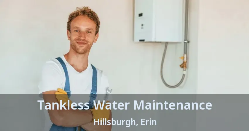 Tankless Water Maintenance Hillsburgh, Erin - ON