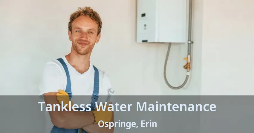 Tankless Water Maintenance Ospringe, Erin - ON