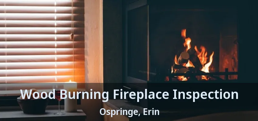 Wood Burning Fireplace Inspection Ospringe, Erin - ON Wood Burning Fireplace Inspection Ospringe, Erin - ON